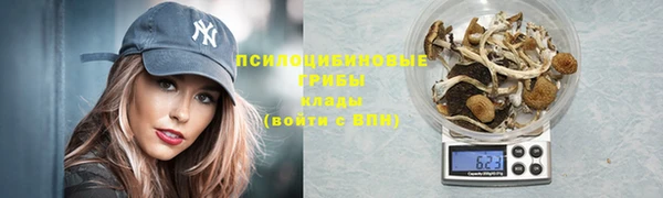 a pvp Кулебаки