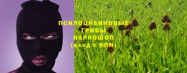 a pvp Кулебаки