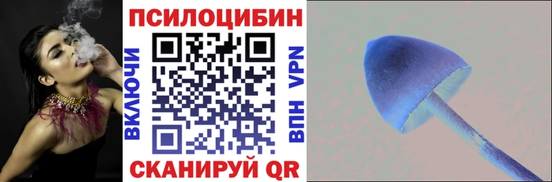 Псилоцибиновые грибы мухоморы Элиста
