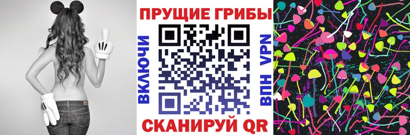 hydra зеркало  магазин  наркотиков  Элиста  Псилоцибиновые грибы MAGIC MUSHROOMS 
