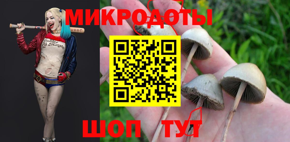 Элиста  Галлюциногенные грибы MAGIC MUSHROOMS  Вход с VPN 